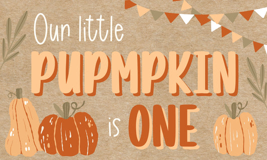 Ready to Ship Hand-Painted Banner - Our little Pumpkin is One