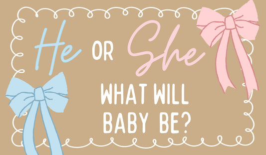Ready to Ship Hand-Painted Banner - He or She What Will Baby Be?